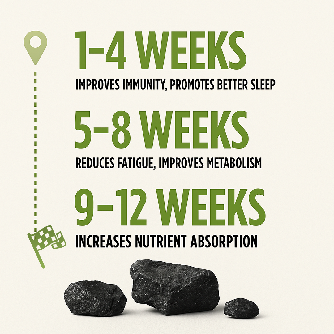 Aroos Organic Himalayan Shilajit